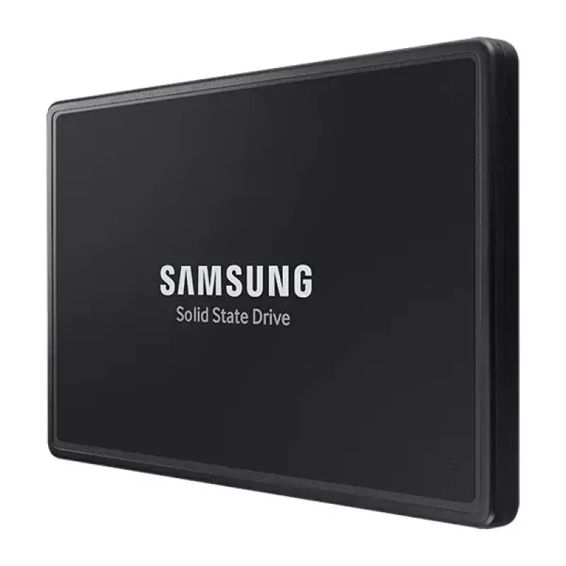 Samsung PM9A3 1,92 TB U.2 NVMe PCIe 4.0 SSD diskas