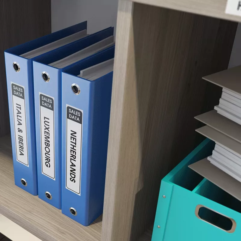 Brother DK22210 ištisinė popierinė juosta etiketėms