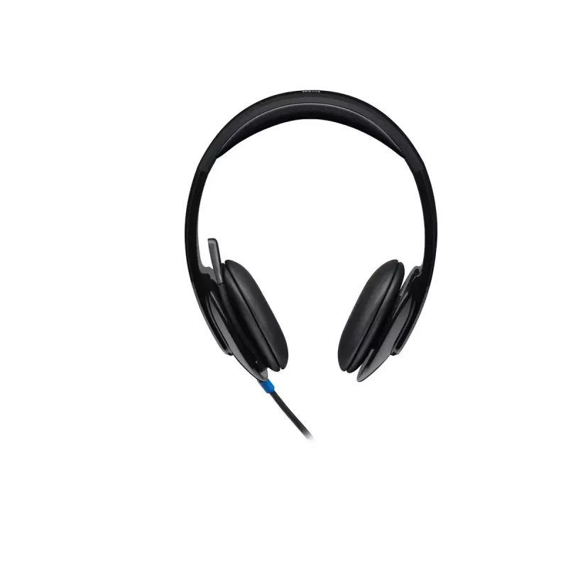 Ausinės Logitech H540 su įmontuotu mikrofonu, USB Type-A, juodos spalvos