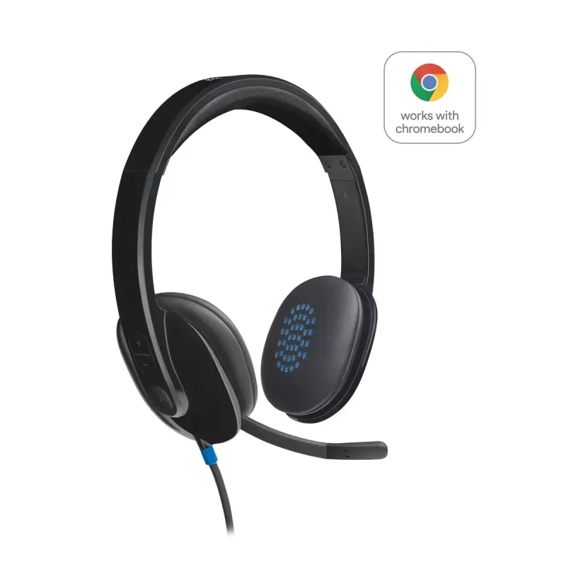 Ausinės Logitech H540 su įmontuotu mikrofonu, USB Type-A, juodos spalvos