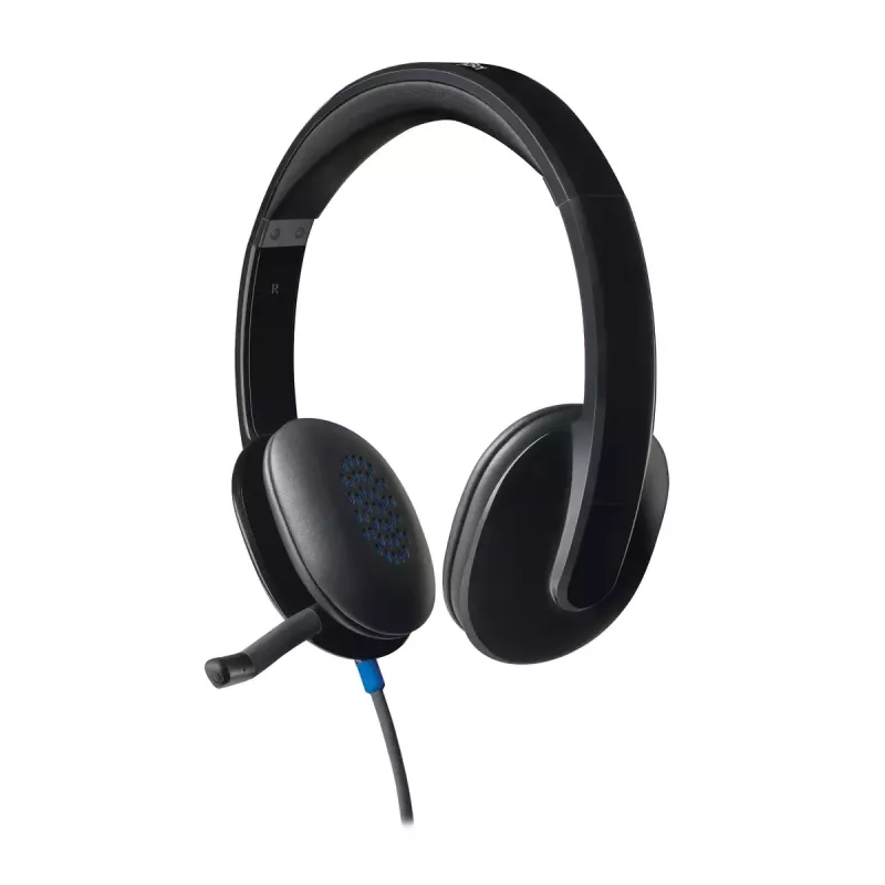 Ausinės Logitech H540 su įmontuotu mikrofonu, USB Type-A, juodos spalvos
