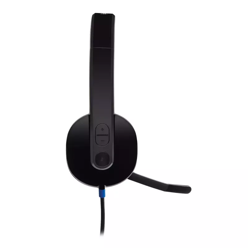 Ausinės Logitech H540 su įmontuotu mikrofonu, USB Type-A, juodos spalvos