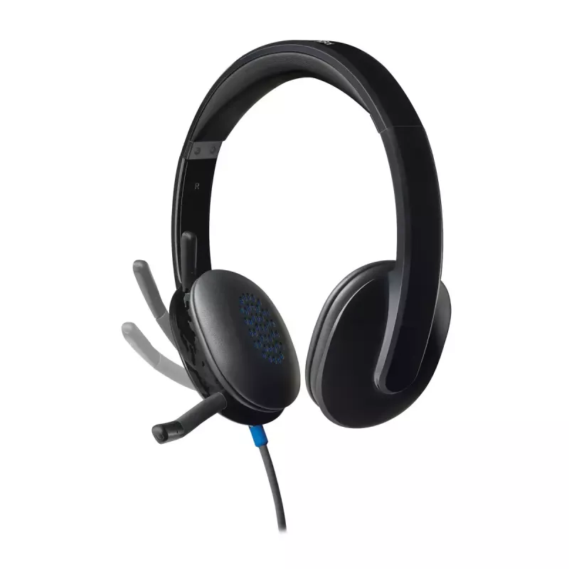 Ausinės Logitech H540 su įmontuotu mikrofonu, USB Type-A, juodos spalvos
