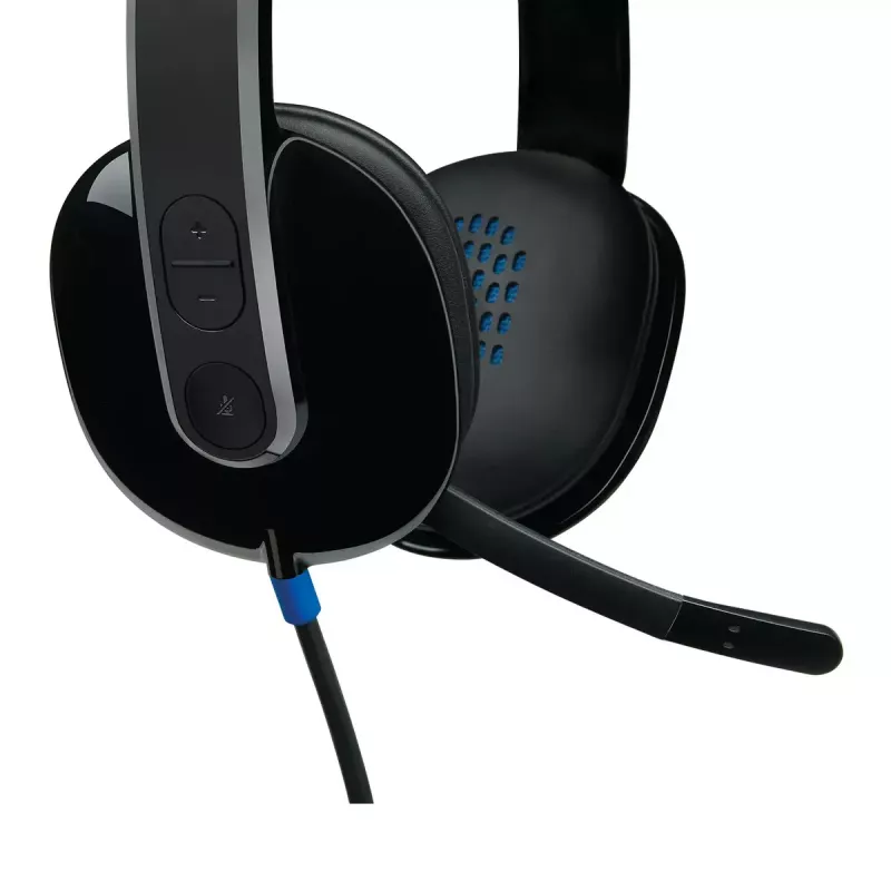 Ausinės Logitech H540 su įmontuotu mikrofonu, USB Type-A, juodos spalvos