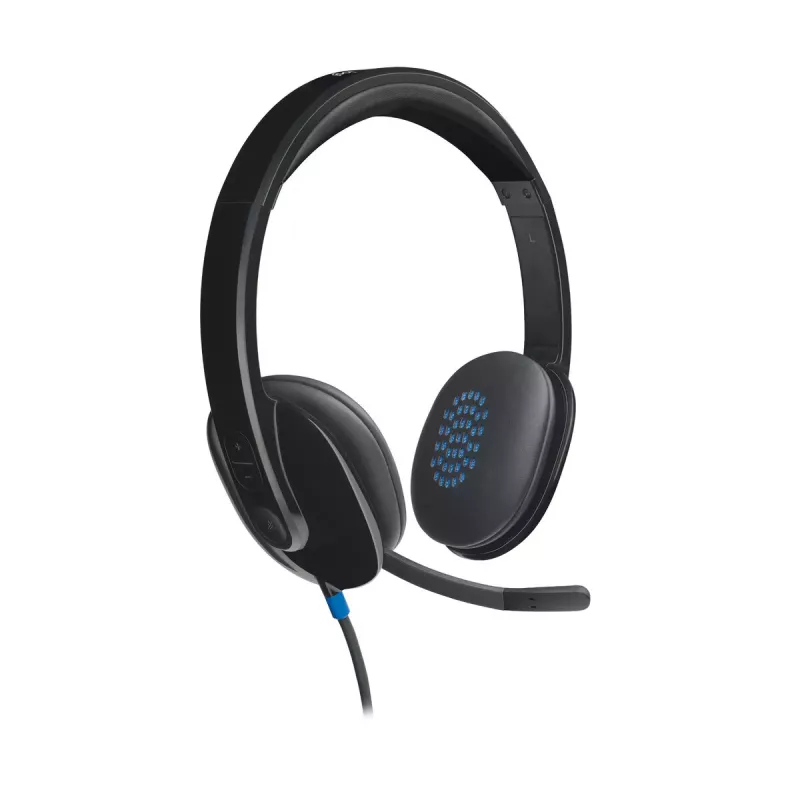 Ausinės Logitech H540 su įmontuotu mikrofonu, USB Type-A, juodos spalvos