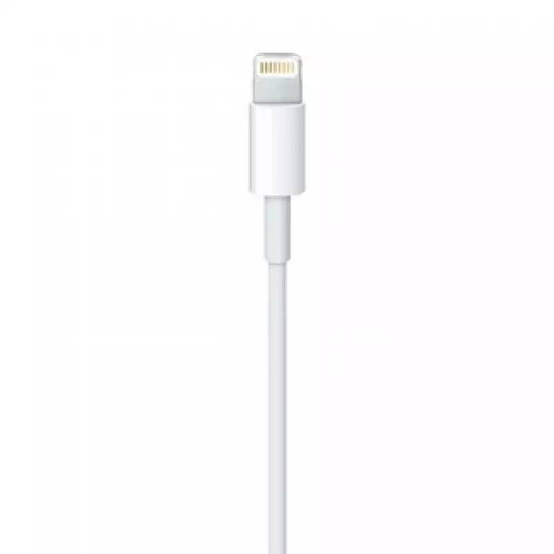 APPLE Lightning į USB laidas (0,5 m)