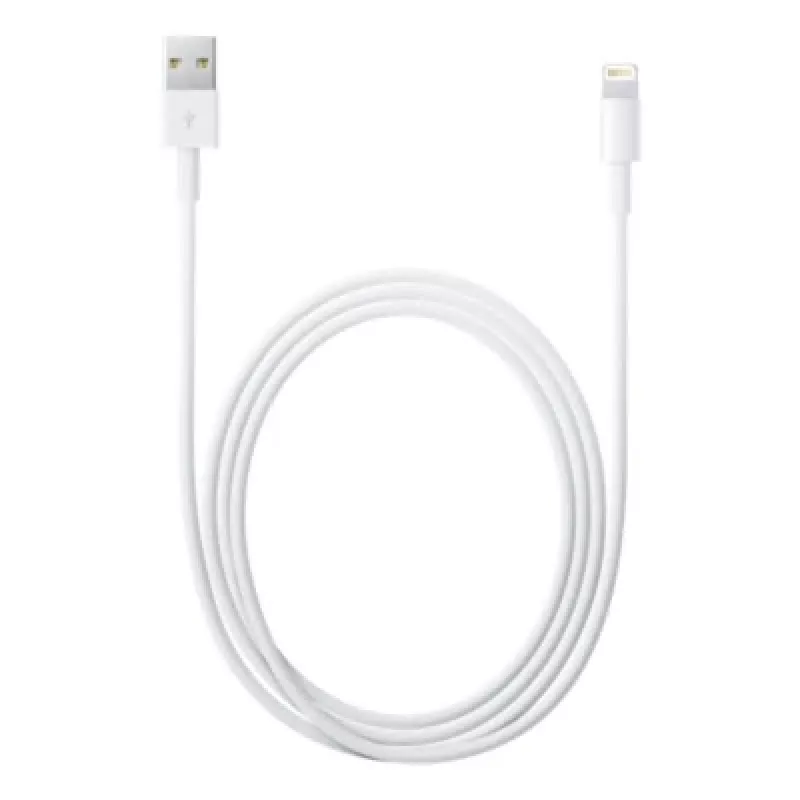 Apple Lightning į USB kabelis 2 m MD819ZM/A