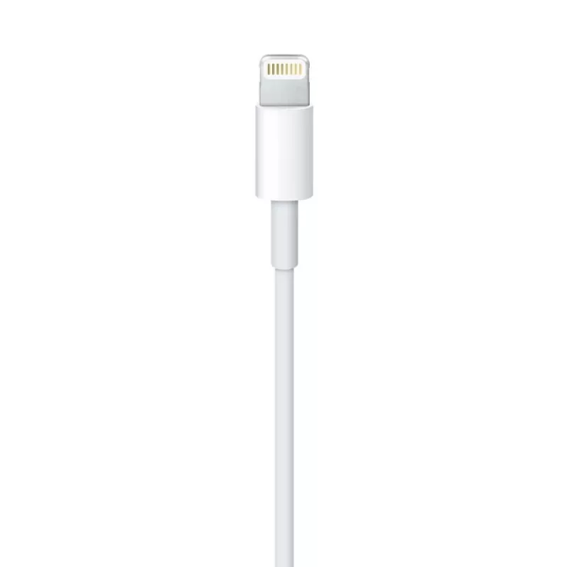 Apple Lightning į USB kabelis 2 m MD819ZM/A
