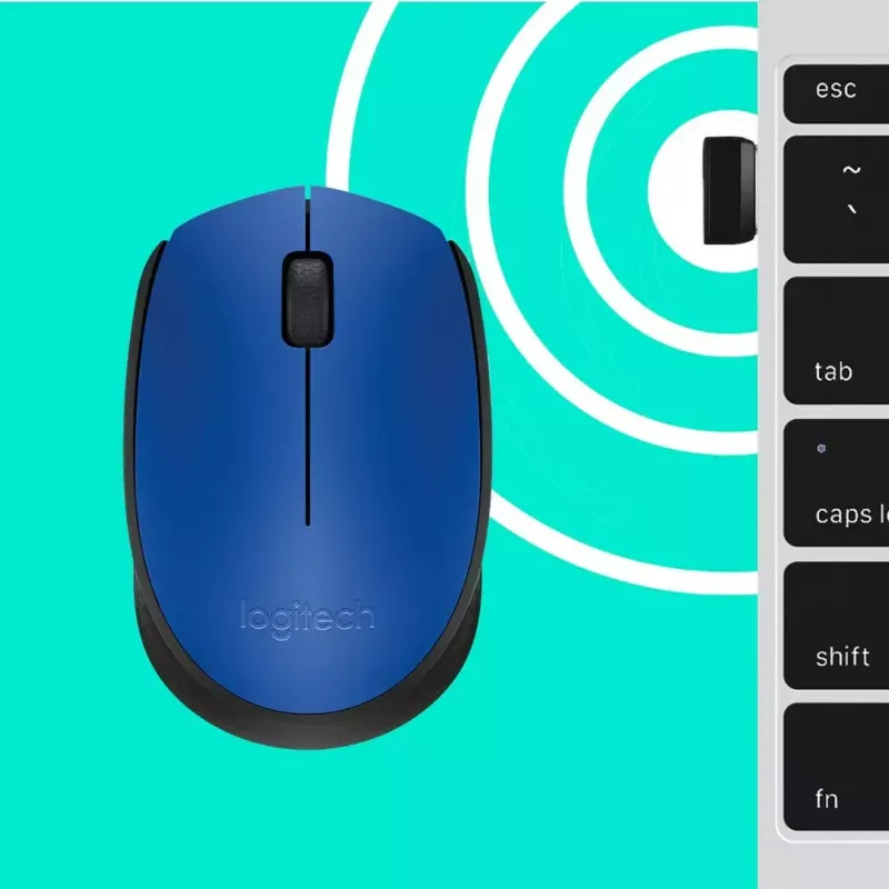 Logitech M171 belaidė optinė pelė, RF, 1000 DPI, mėlyna