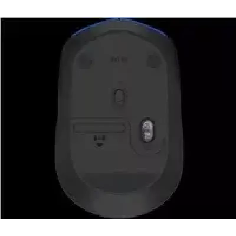 Logitech M171 belaidė optinė pelė, RF, 1000 DPI, mėlyna