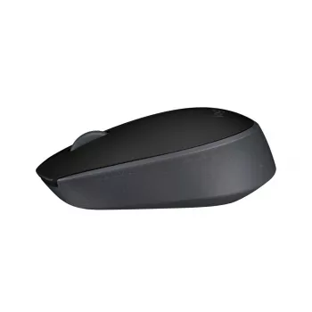 LOGITECH M171 belaidė pelė juoda EMEA