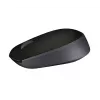 LOGITECH M171 belaidė pelė juoda EMEA