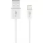 Įkrovimo ir sinchronizavimo laidas GOOBAY Lightning į USB A 1 m, 5W / 1A, baltas