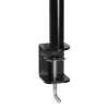 ARCTIC Z1 Basic – Monitoriaus laikiklis, tvirtinimas spaustuku, 8 kg, 33 cm (13 col.), 81,3 cm (32 col.), 100 x 100 mm, juodas