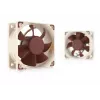 Noctua ventiliatorius NF-A6x25 PWM 60 mm, 12 V, 550–3000 aps./min., 29,2 m³/h, 19,3 dB