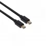 CLUB3D Mini DisplayPort 1.2 HBR2 kabelis M/M 2 m 4K60Hz