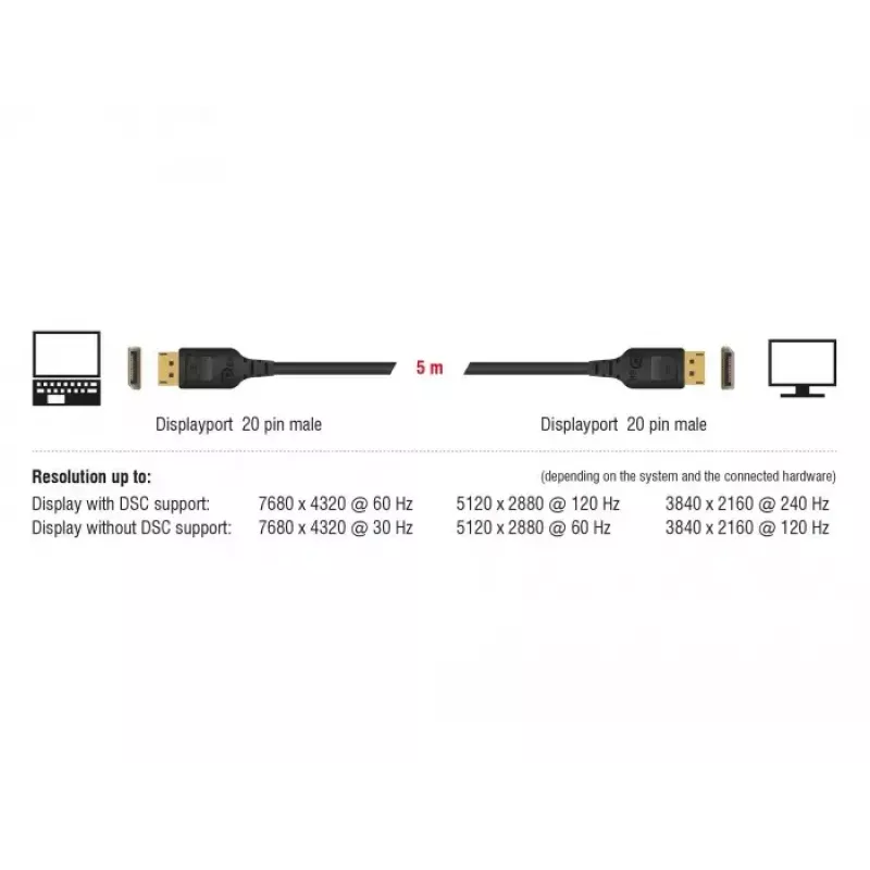 DisplayPort kabelis DeLOCK 85663 5 m Juodas