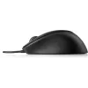 HP USB pirštų atspaudų pelė, ambidekstrinė, USB Type-A, juoda