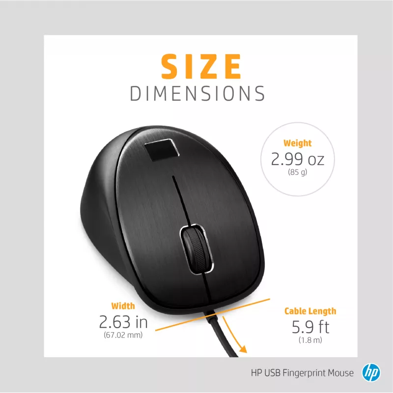 HP USB pirštų atspaudų pelė, ambidekstrinė, USB Type-A, juoda