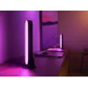Philips Hue White and colour ambience Play šviesos juosta dviejų vienetų pakuotė