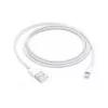 APPLE USB-A į Lightning laidas 1m (MXLY2ZM/A)