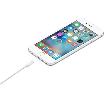 APPLE USB-A į Lightning laidas 1m (MXLY2ZM/A)