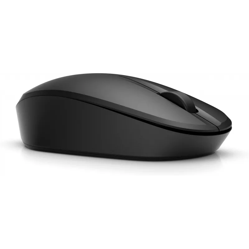 HP Dual Mode Black Mouse 300, dešinei rankai, optinis, RF belaidis, 3600 DPI, juoda