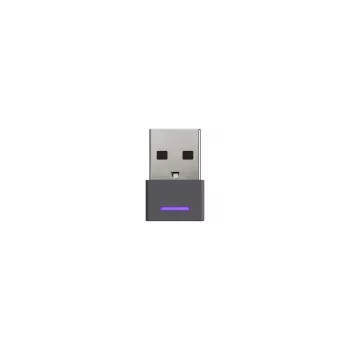 LOGITECH Zone Wireless - USB-C / USB-A - Ausinės - MSFT Teams Zone - Juoda