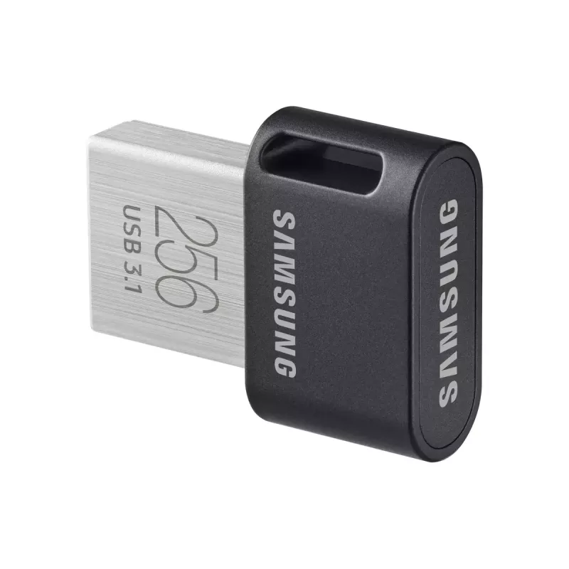 Samsung MUF-256AB USB atmintukas 256 GB USB Type-A 3.2 Gen 1 (3.1 Gen 1) Pilka, Sidabrinė