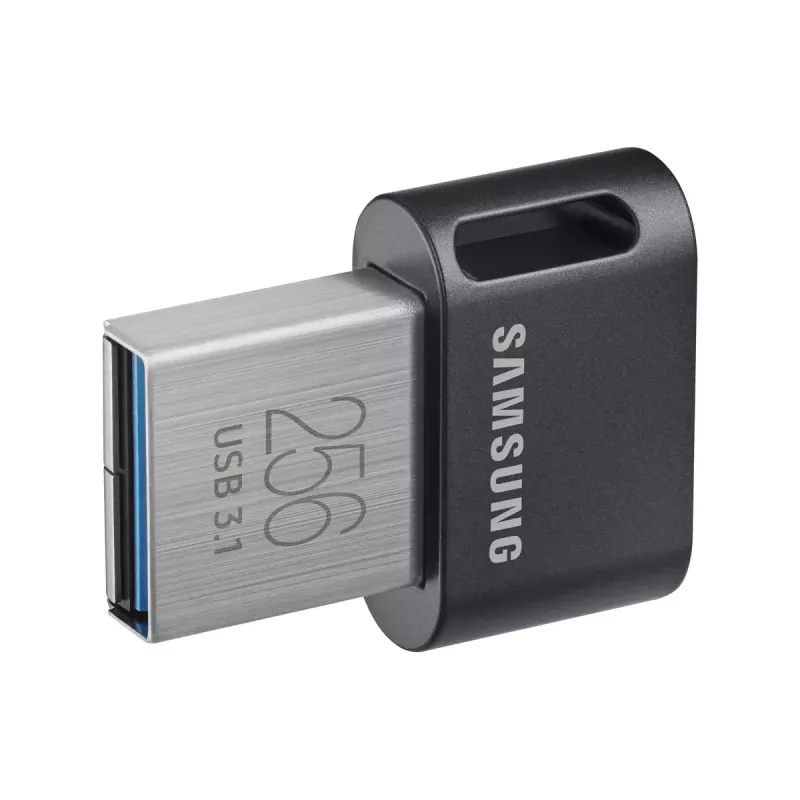 Samsung MUF-256AB USB atmintukas 256 GB USB Type-A 3.2 Gen 1 (3.1 Gen 1) Pilka, Sidabrinė
