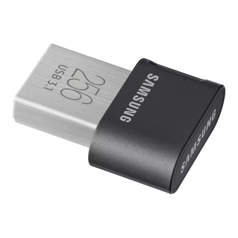 Samsung MUF-256AB USB atmintukas 256 GB USB Type-A 3.2 Gen 1 (3.1 Gen 1) Pilka, Sidabrinė