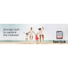 WESTERN DIGITAL SanDisk Ultra 32GB SDHC atminties kortelė Class 10 UHS-I 120MB/s (SDSDUN4-032G-GN6IN)