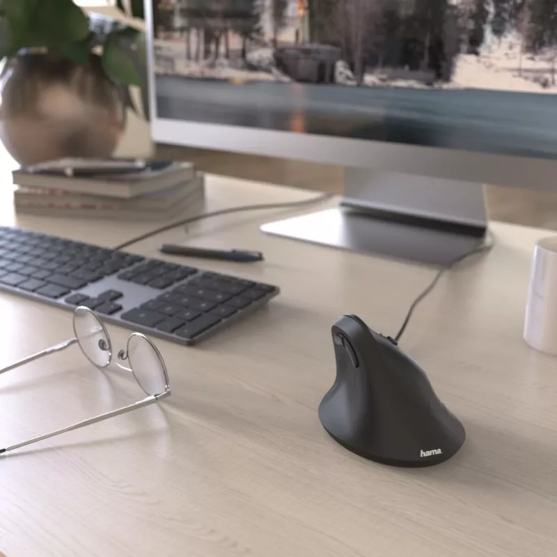 Hama EMC-500 pelė, skirta biurui, dešinei rankai, USB Type-A, optinė, 1800 DPI
