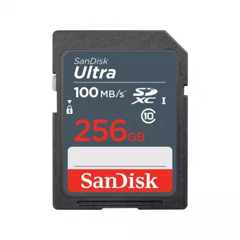 SanDisk 256GB SDXC UHS-I Class 10 atminties kortelė SDSDUNR-256G-GN3IN