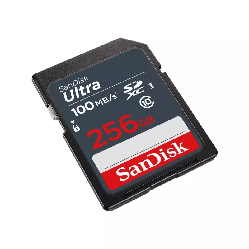 SanDisk 256GB SDXC UHS-I Class 10 atminties kortelė SDSDUNR-256G-GN3IN