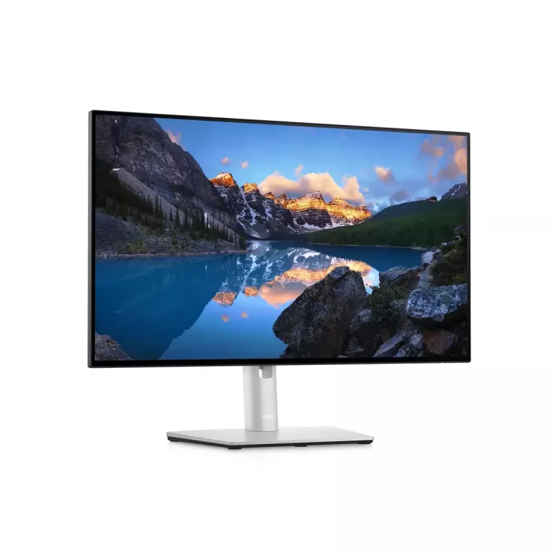 Monitorius DELL UltraSharp 24 U2422H 23,8 colio Full HD LCD 1920x1080
