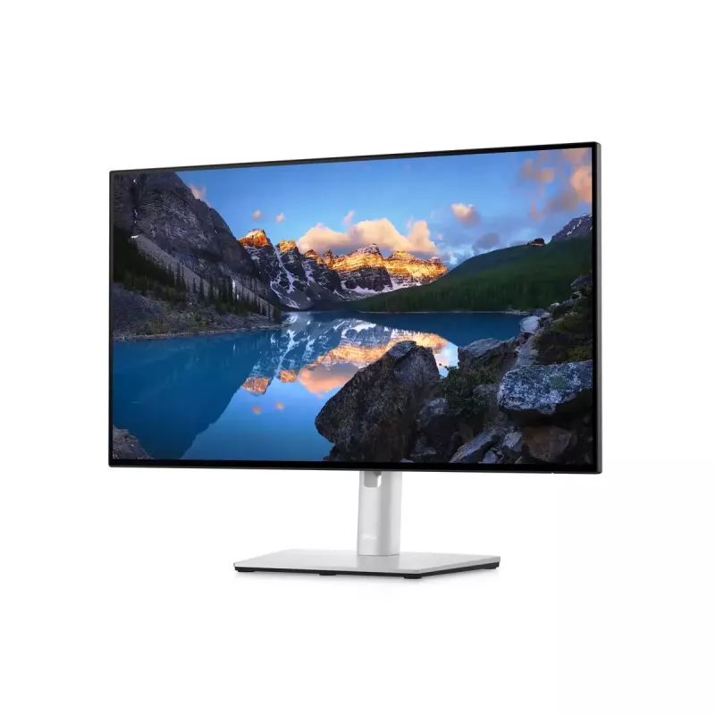 Monitorius DELL UltraSharp 24 U2422H 23,8 colio Full HD LCD 1920x1080