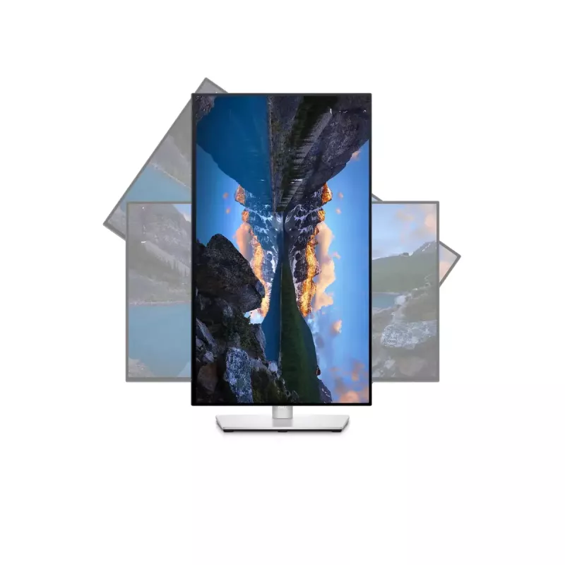 Monitorius DELL UltraSharp 24 U2422H 23,8 colio Full HD LCD 1920x1080