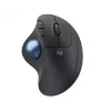 Pelė Logitech ERGO M575 verslui RF belaidė + Bluetooth