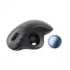 Pelė Logitech ERGO M575 verslui RF belaidė + Bluetooth