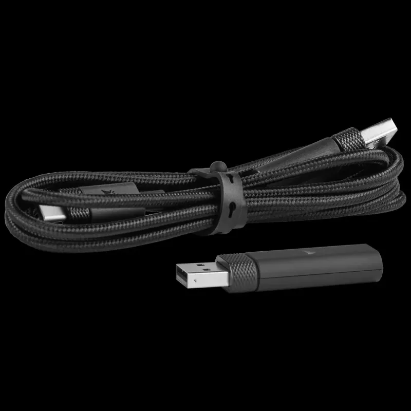 CORSAIR Gaming ausinės HS80 – belaidės – anglies spalvos