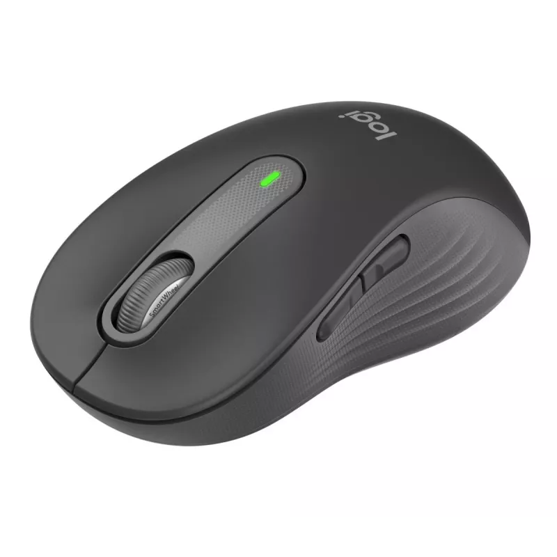 Pelė Logitech Signature M650 L RF belaidė + Bluetooth