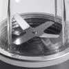 NutriBullet NB606DG 0,7 L stalo blenderis 600 W sidabrinis