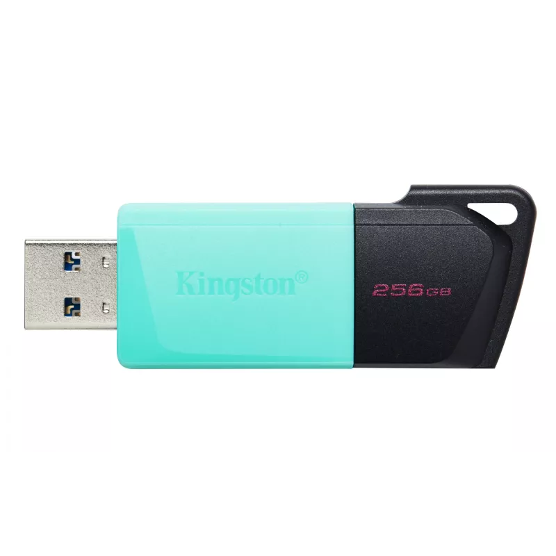 Kingston DataTraveler 256GB USB 3.2 Gen 1 Exodia M (juoda + žalsvai mėlyna)
