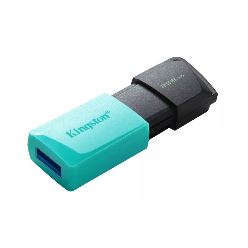 Kingston DataTraveler 256GB USB 3.2 Gen 1 Exodia M (juoda + žalsvai mėlyna)