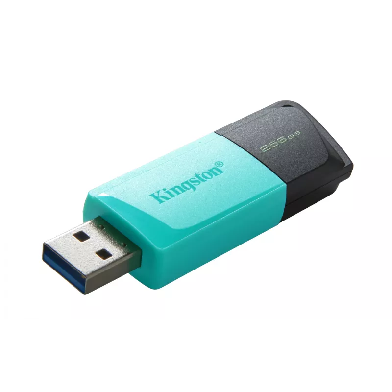 Kingston DataTraveler 256GB USB 3.2 Gen 1 Exodia M (juoda + žalsvai mėlyna)