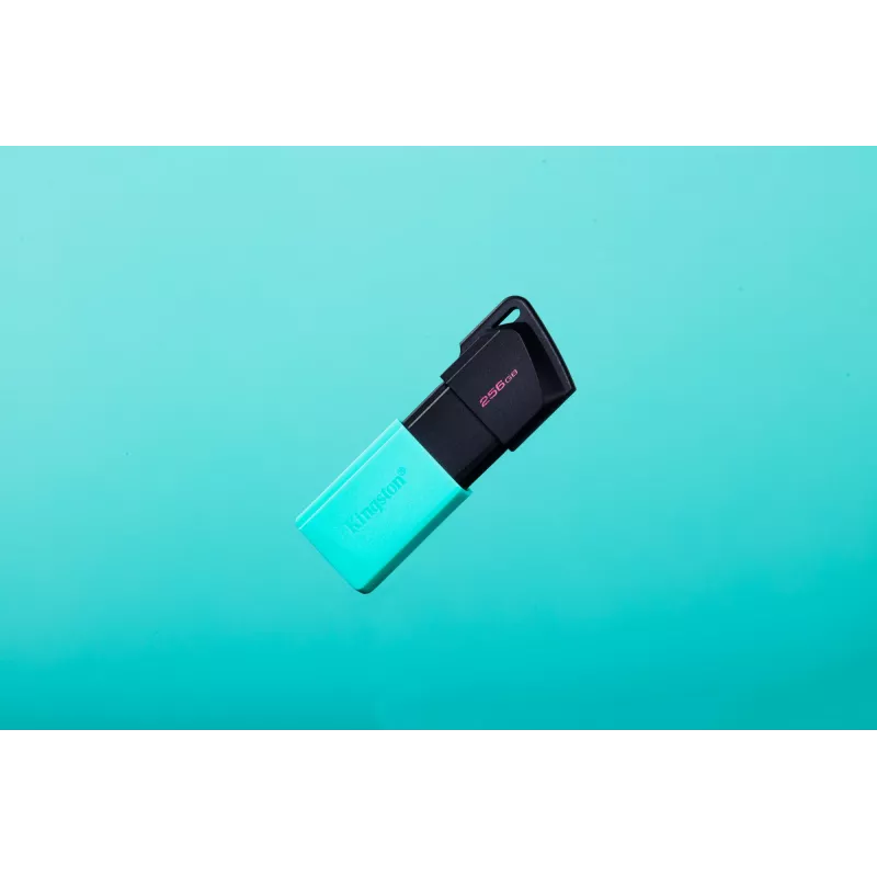 Kingston DataTraveler 256GB USB 3.2 Gen 1 Exodia M (juoda + žalsvai mėlyna)