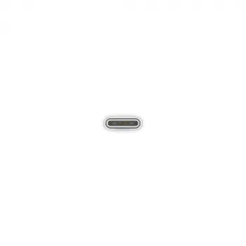 APPLE USB-C įkrovimo laidas (1 m)