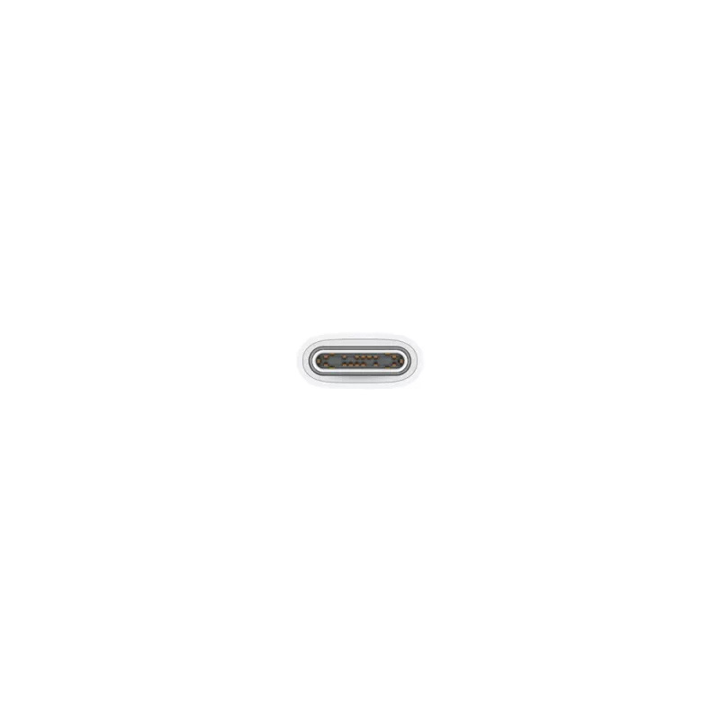 APPLE USB-C įkrovimo laidas (1 m)