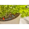 Laistymo sistema Gardena 13400-20 Žarna 15 m Juoda Žalia